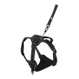 Szelki dla psa Zolux Easyride w kolorze czarnym