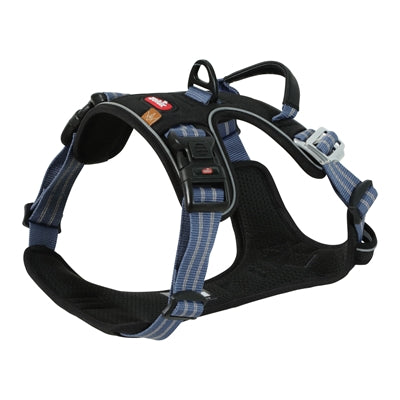 Zolux bvk chien tuard bleu