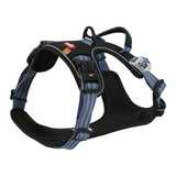 Zolux bvk chien tuard bleu