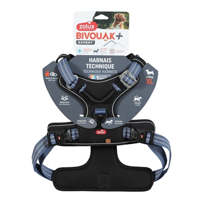 Zolux bvk chien tuard bleu