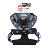Zolux bvk chien tuard bleu