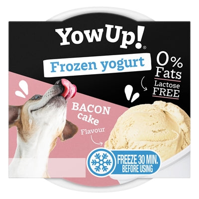 Yowup! frozen yogurt bacon cake