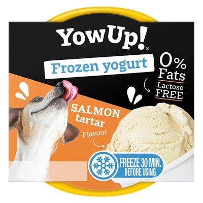 Yowup! frozen yogurt salmon tartar