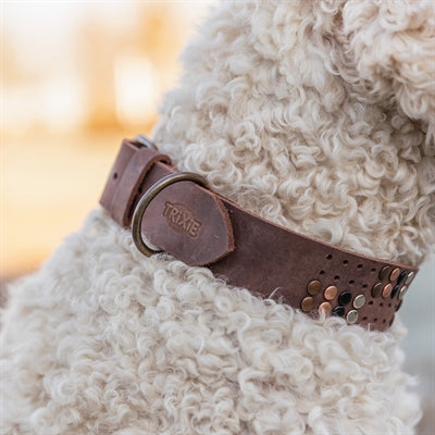 Trixie dog collar rivet rustic greased leather dark brown