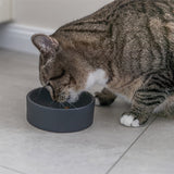 Trixie keramisk kattematskål assortert