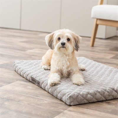 Trixie hondenkussen noah vital lichtgrijs