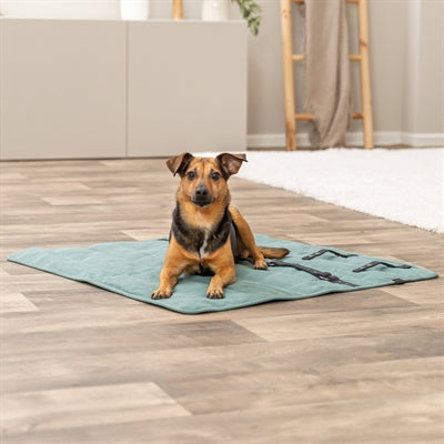 Trixie dog blanket travel blanket city style square sage green