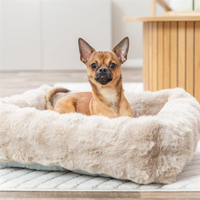 Trixie hondenmand elli zand