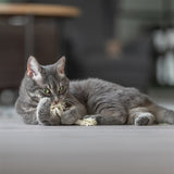 Trixie play rope with fringes assorted