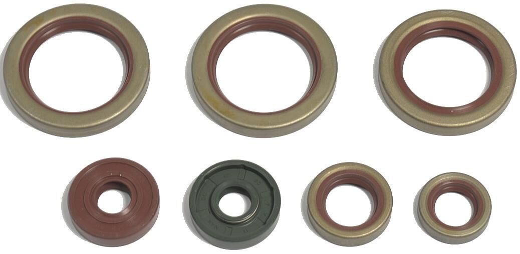 Athena motor-keerring set motorshield 690, 08-,