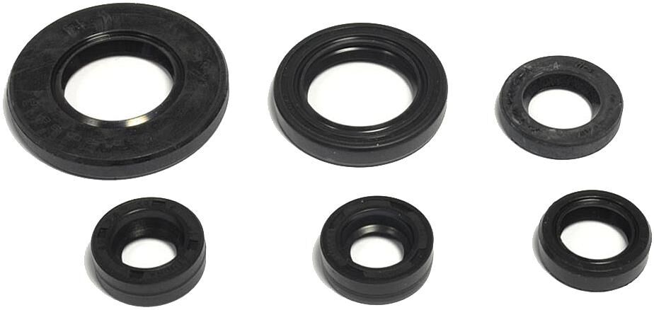Athena engine seal set motorshield tt-r 125 ex, 05-10,