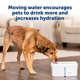 Petsafe drinkfontein viva