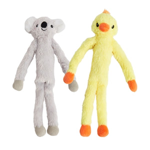 Fofos raca in koala