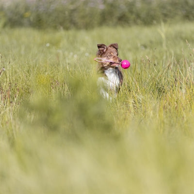 Trixie throwing ball soft strong tpr pink
