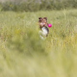 Trixie throwing ball soft strong tpr pink