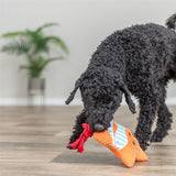 Trixie starfish with flossing rope orange