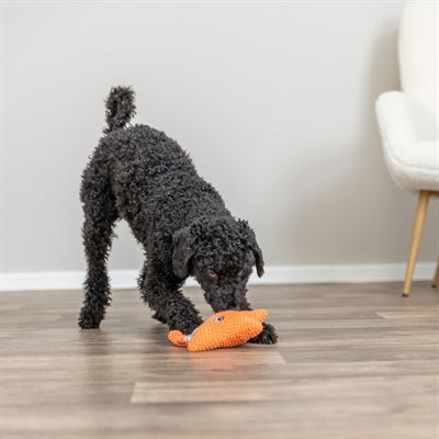 Trixie starfish with flossing rope orange