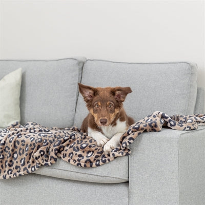 Trixie dog blanket Leo soft plush leopard print brown