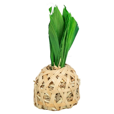 Trixie pineapple bamboo with corn leaves and hay