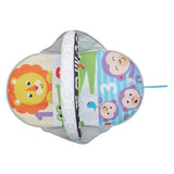 Fisher Price 2in1 Activity Gym