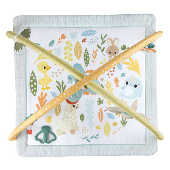 Fisher price simply senses baby gym