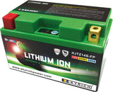 Skyrich lifepo4 batterij hjtz14s-fp . battery hjtz14s-fp-si lithium
