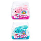 Zuru pets alive swimming axolotl assorted | 12 pieces
