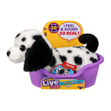 My really real puppy mini pepper 21 cm