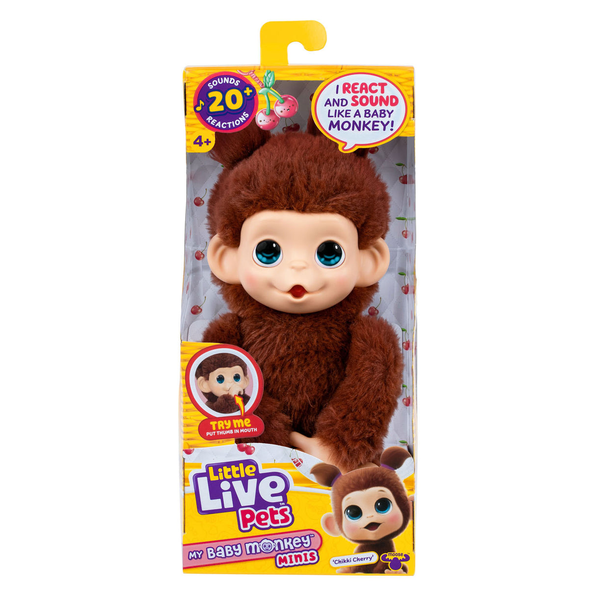 Petits animaux vivants mon bébé mini singe brun cherri | 3 pièces