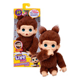 Petits animaux vivants mon bébé mini singe brun cherri | 3 pièces