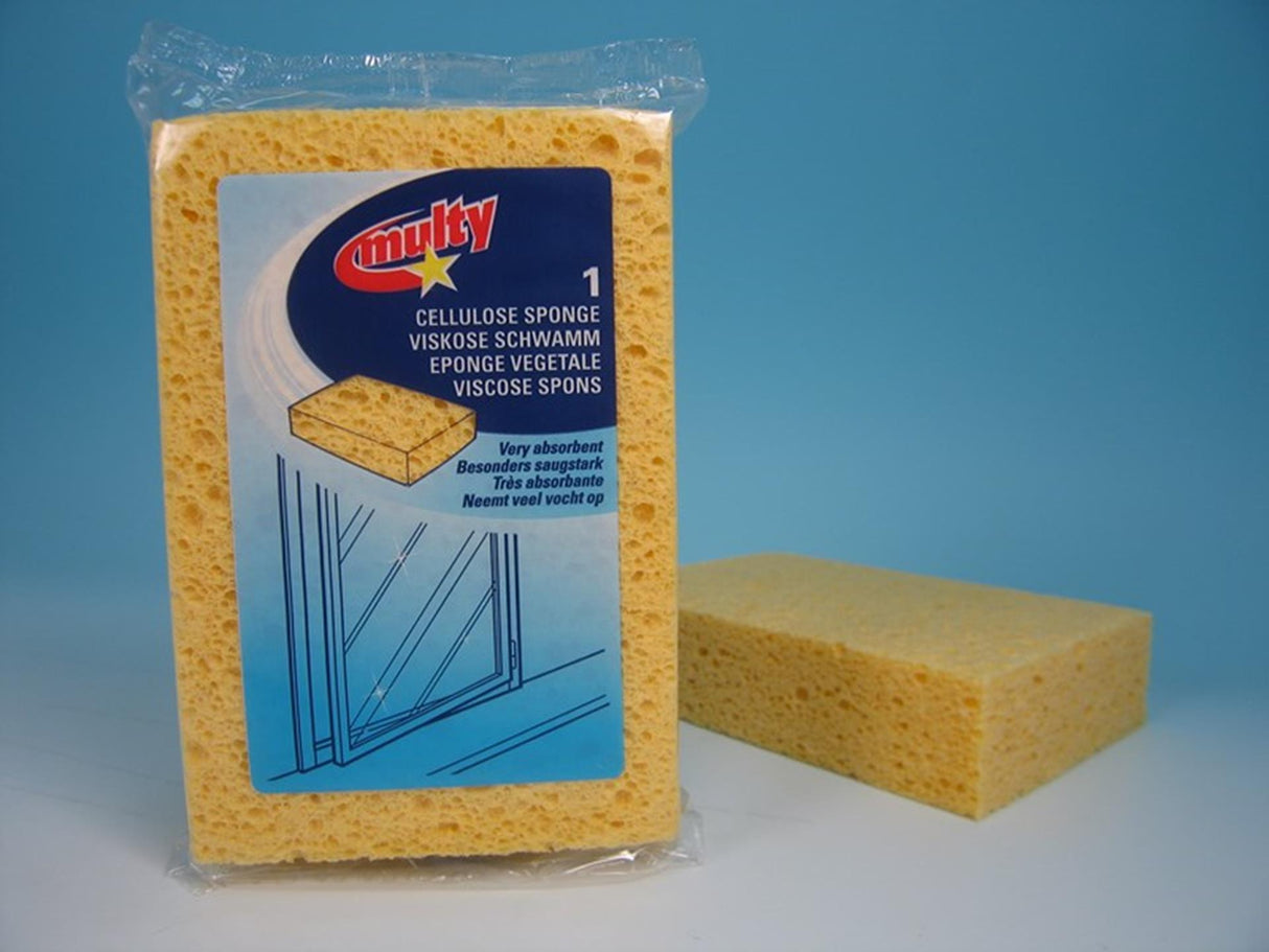 Multy household sponge