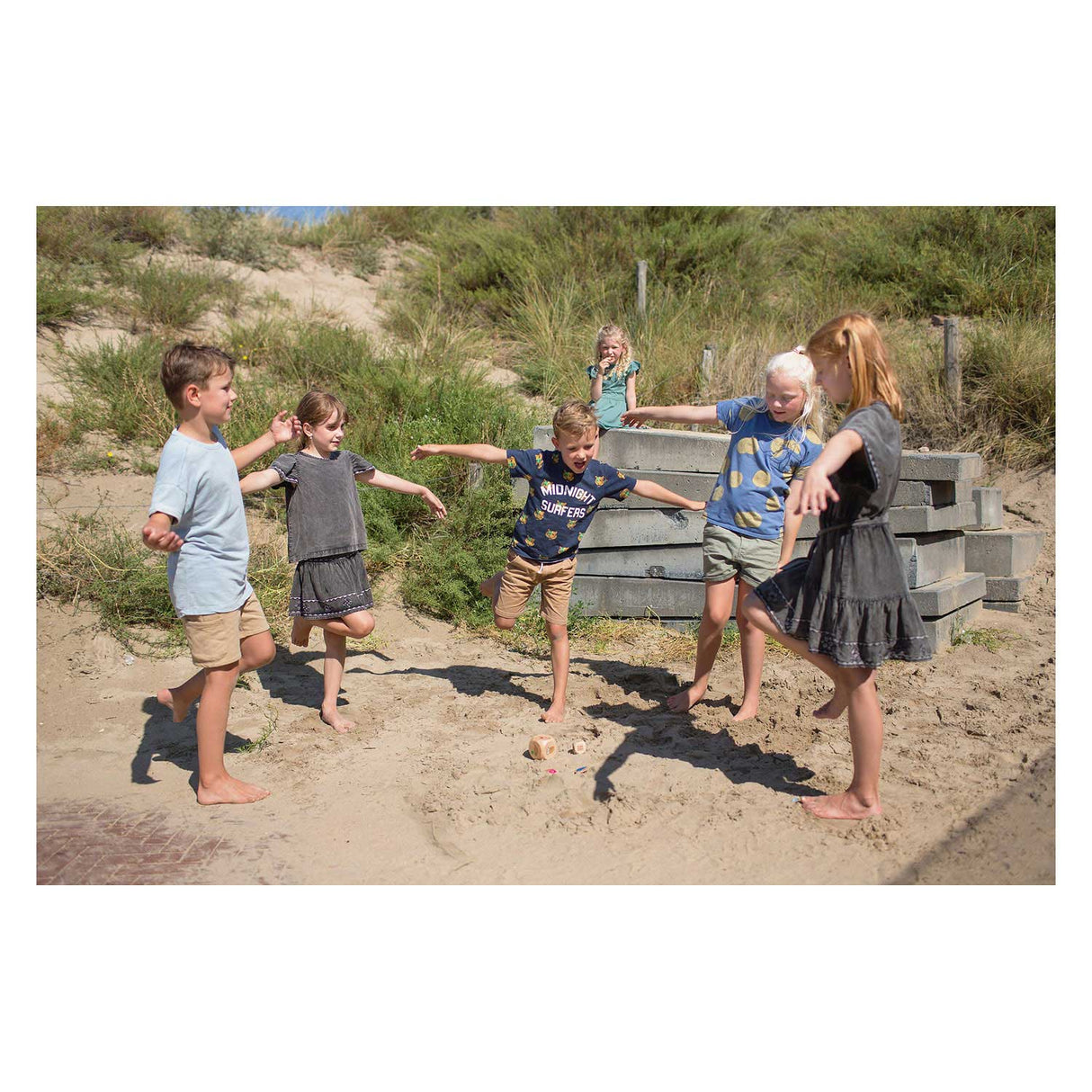 Hračky BS Birds in Action How Hout Child Game