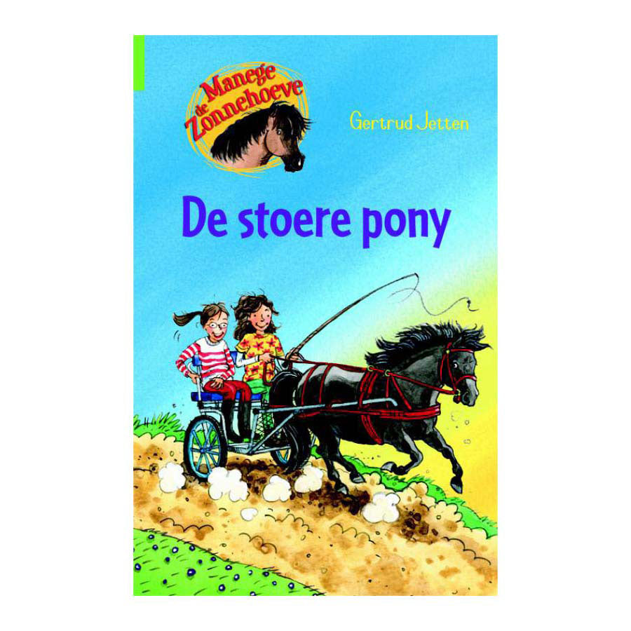 Uitgeverij kluitman de stoere pony