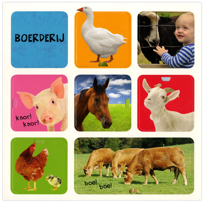 My first flap book 100 animals