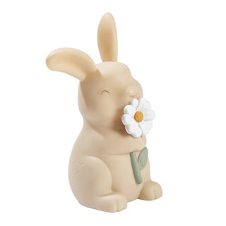 Mały holenderski królik lampy