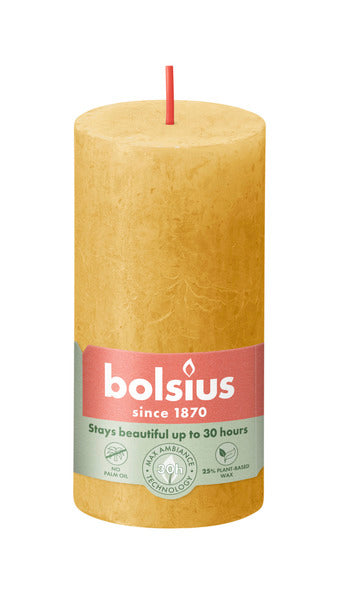 Bolsius Bolsius Stollen Shine 8 St Rustic 100x50 mm miód żółty