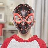 Spiderman Held Mask assortéiert