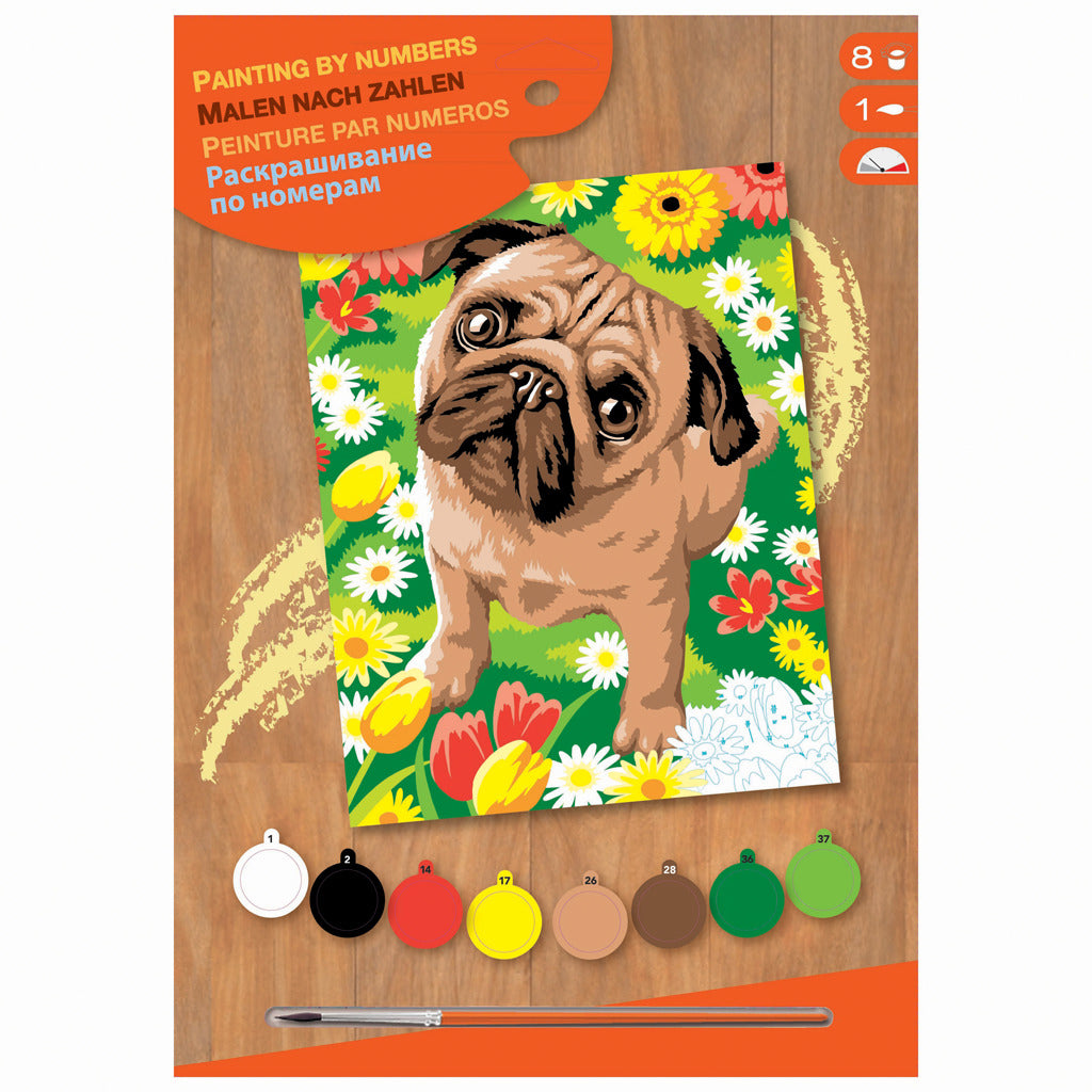Basic paint by number pug dog