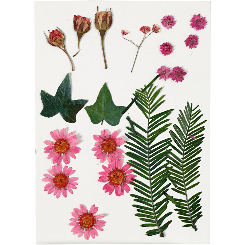 Dried flowers and leaves light red, 19dlg.