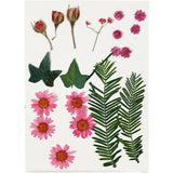 Dried flowers and leaves light red, 19dlg.