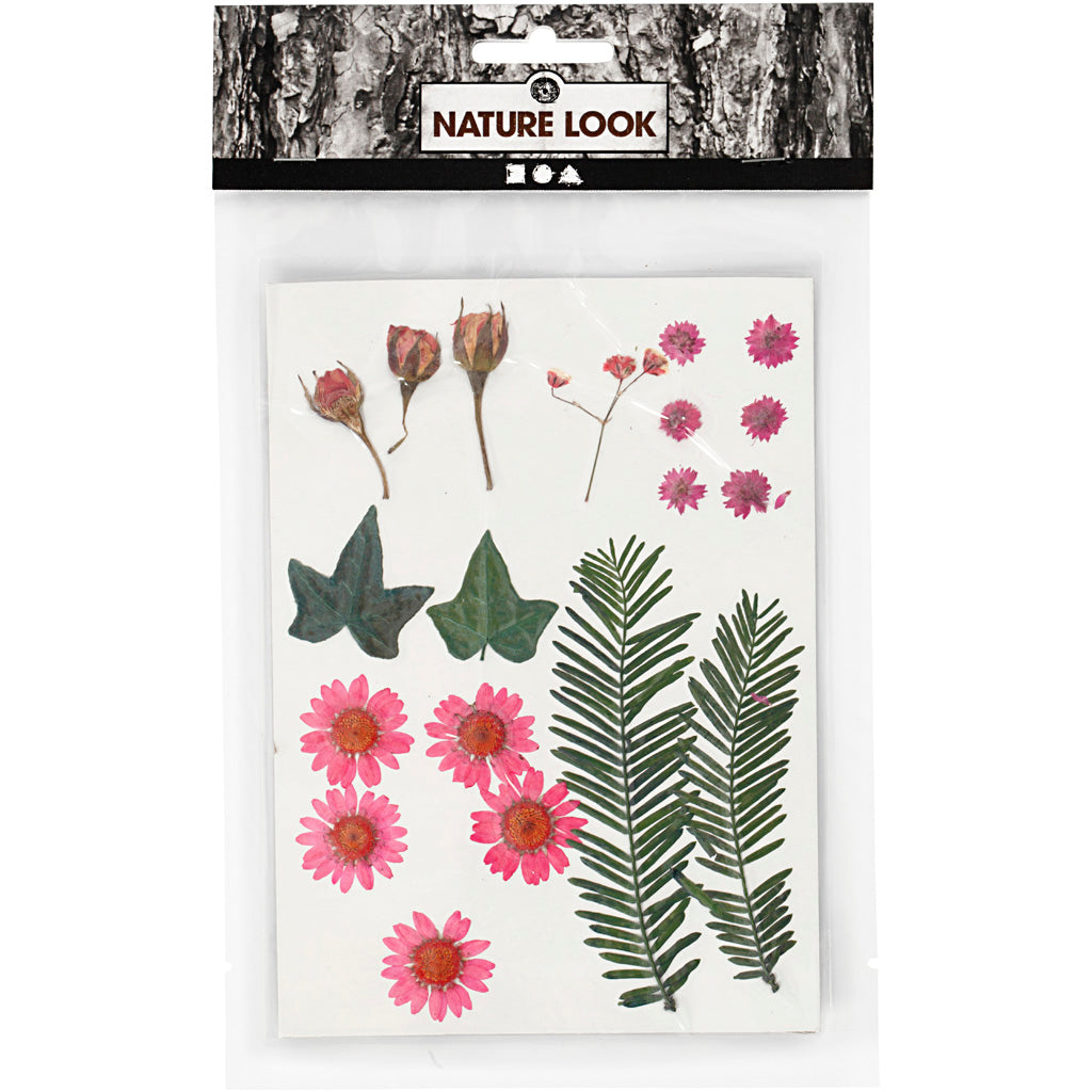 Creativ company tørrede blomster og blade lyserøde, 19 stk.