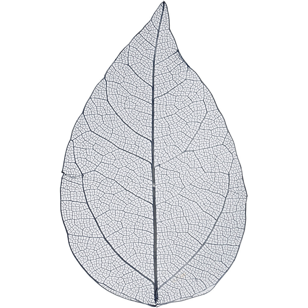 Creativ company skeleton leaves , l: 6-8 cm, blue, 20 pieces 1 box