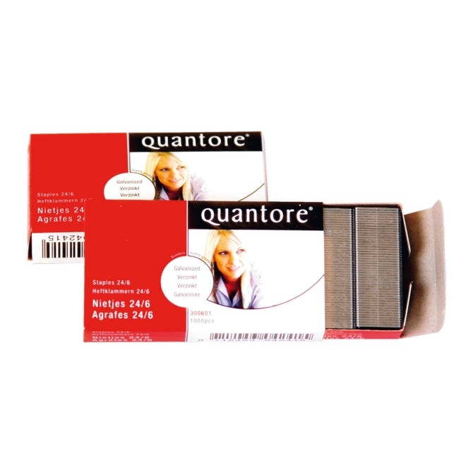 Staples quantore 24 6 1000 pieces galvanized