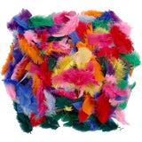 Feathers in Various Colors 7-8cm, 50gr