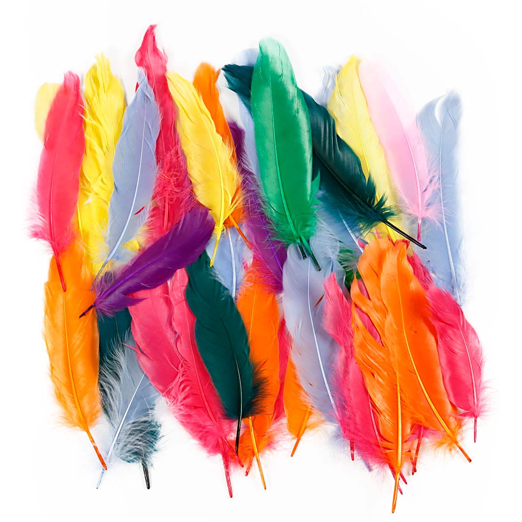 Creativ company feathers, l: 12-15 cm, various colours, 350 pieces 1 box