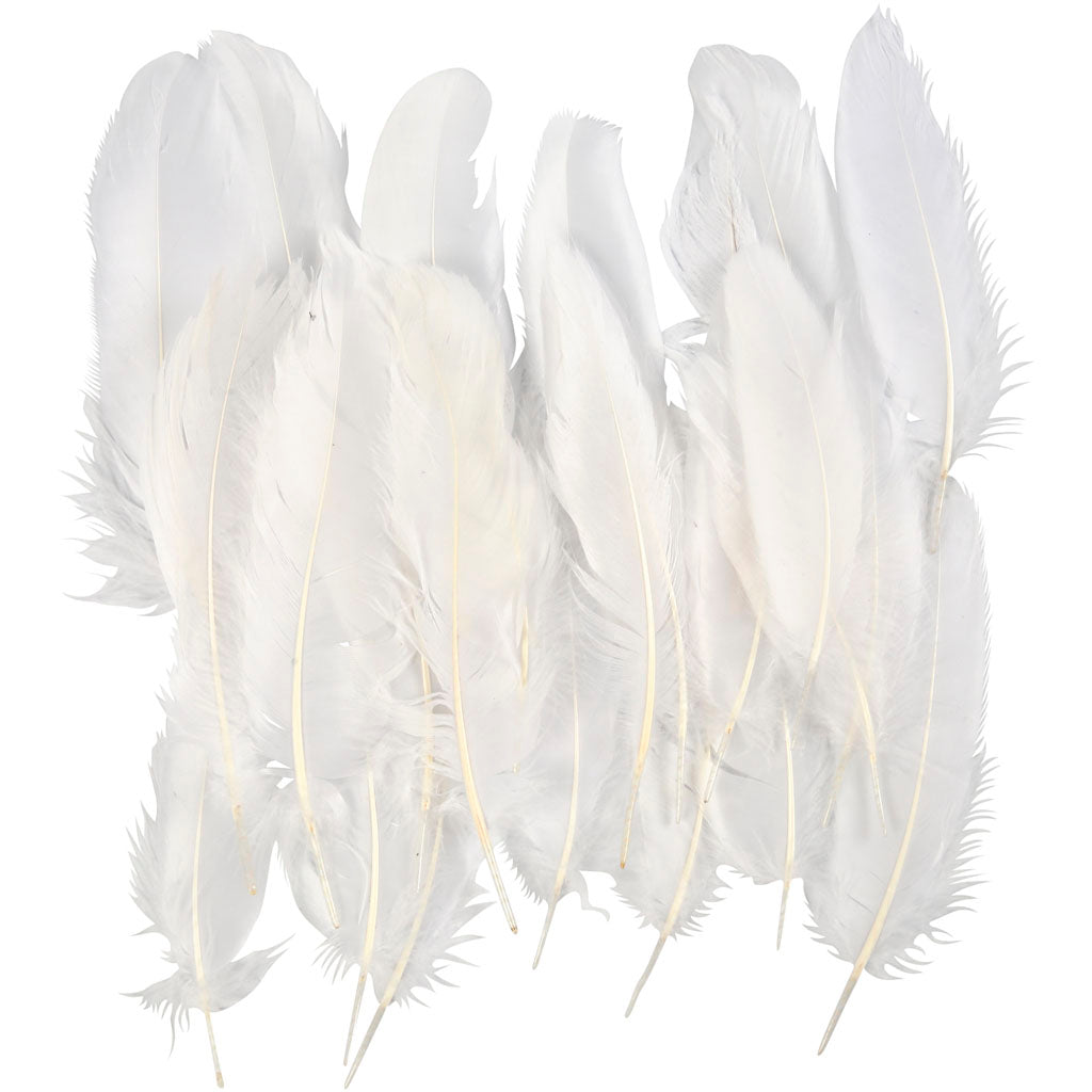 Creativ company feathers, size 10-18, white, 70 pieces in a bag