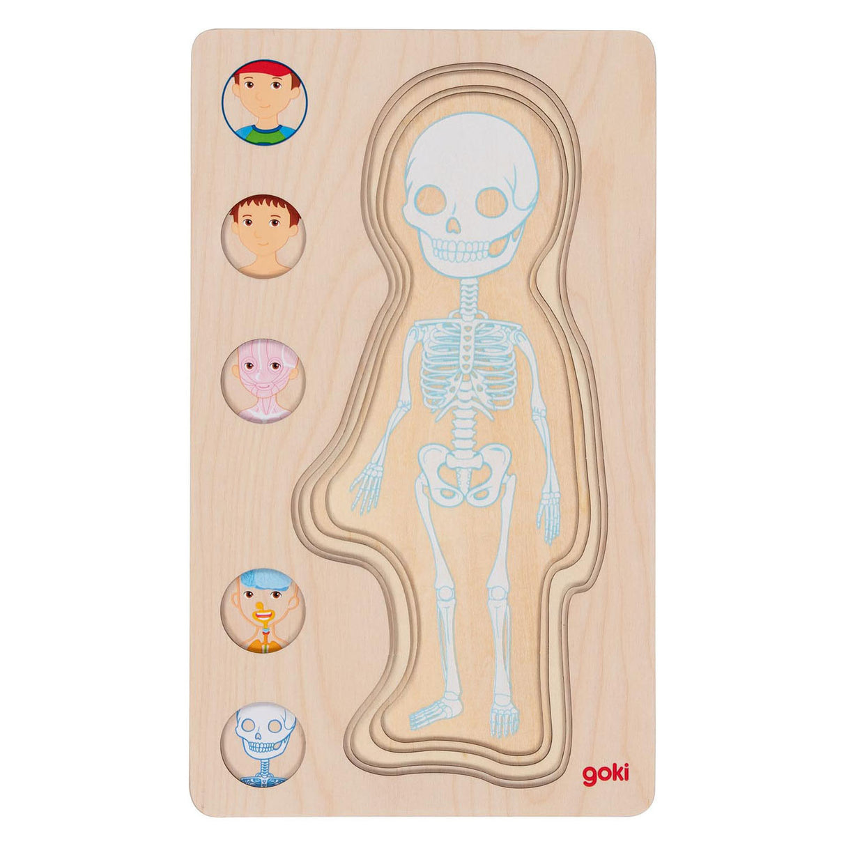 Goki lesena plast puzzle človeško telo, 29.