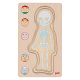 Goki lesena plast puzzle človeško telo, 29.