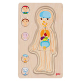 Goki lesena plast puzzle človeško telo, 29.