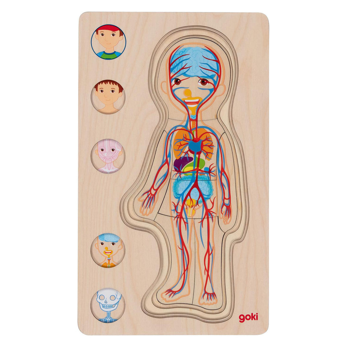 Goki lesena plast puzzle človeško telo, 29.